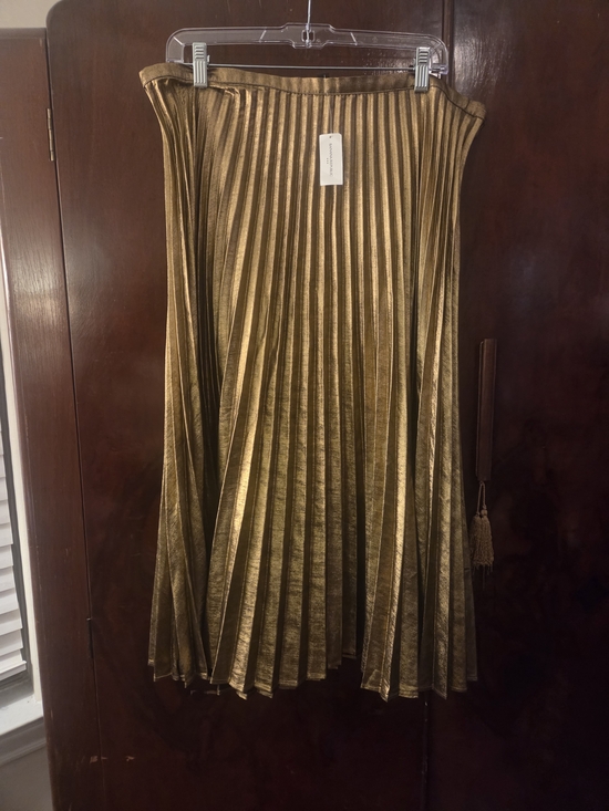 Banana Republic Dresses & Skirts - Banana Republic Metallic Gold Pleated Midi Skirt